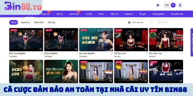 Cá cược đảm bảo an toàn tại nhà cái uy tín Bin88