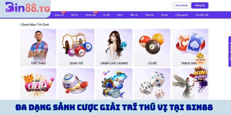 Đa dạng sảnh cược giải trí thú vị tại Bin88