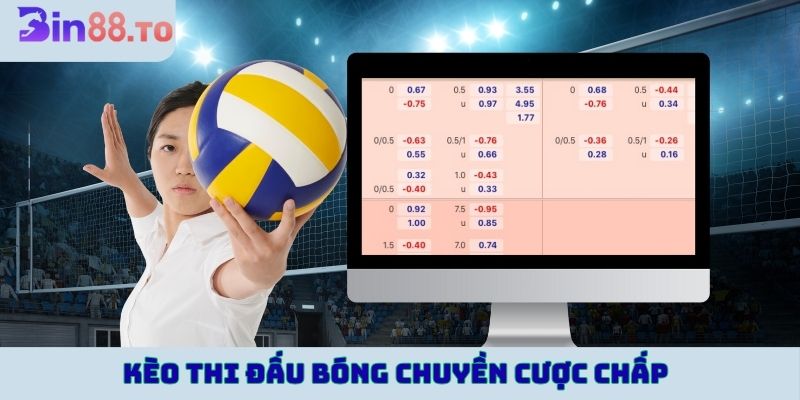 Kèo thi đấu bóng chuyền cược chấp